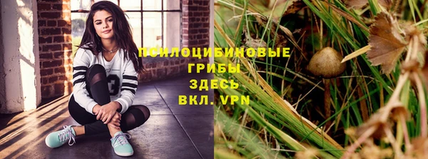 ALPHA PVP Киренск