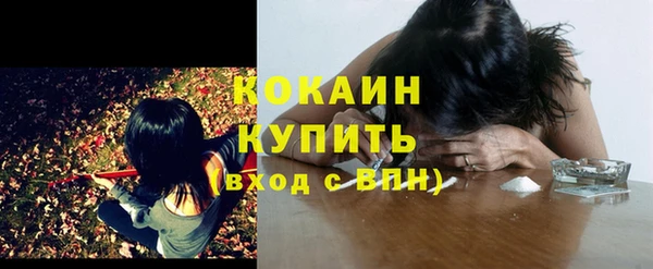кокс Кинешма