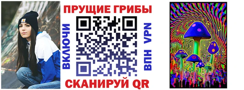 Галлюциногенные грибы мицелий  Купить закладки  Северобайкальск 